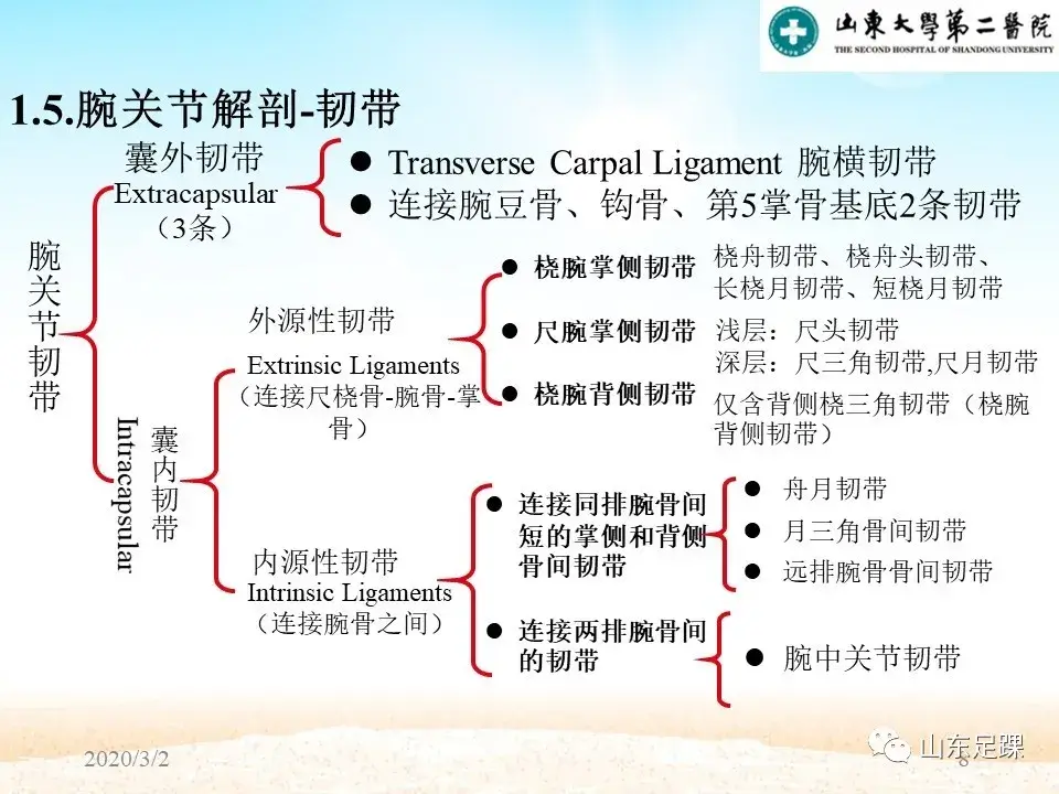 部分腕骨融合VS近排腕骨切除如何选择 - 图8