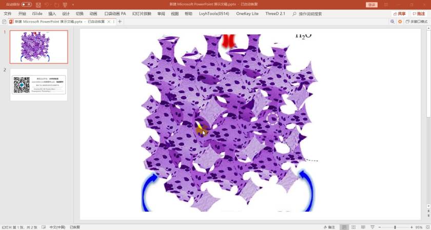 L14_多级孔骨架结构.wmv (76.28MB)