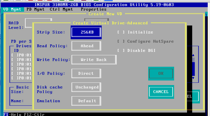 RAID介绍及浪潮服务器RAID卡配置步骤 - 图36