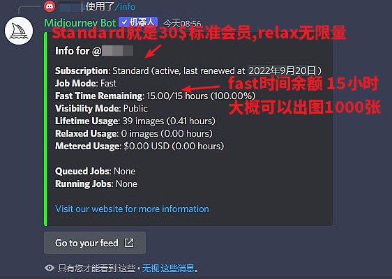 Midjourney查询余额%26进入relax模式方法 - 图2