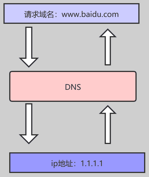 DNS协议 是什么？说说DNS 完整的查询过程? - 图2