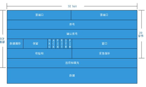 如何理解UDP 和 TCP? 区别? 应用场景? - 图3