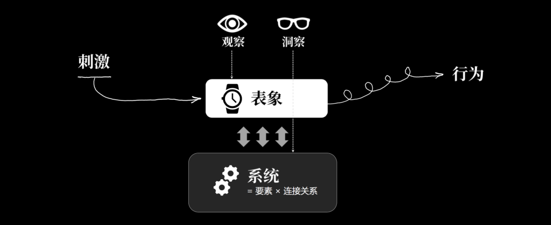 洞察力模型：半秒洞察本质的人，注定拥有开挂的人生 - 图1