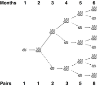 Rabbits and Recurrence Relations - 图1