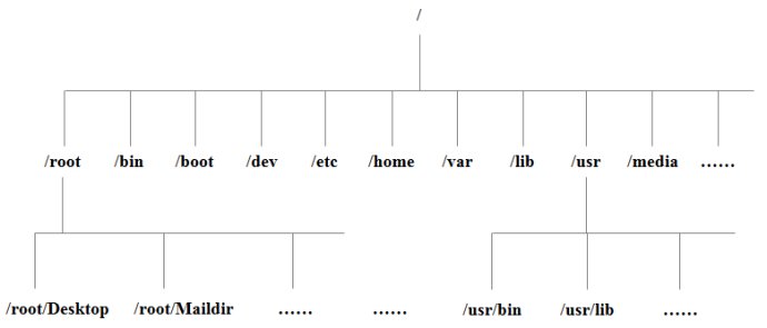 Linux 系统目录结构 - 图2