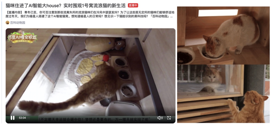 百度｜流浪猫住上了智能大house？【百度AI暖宠联盟】陪伴喵星人过冬！ - 图6