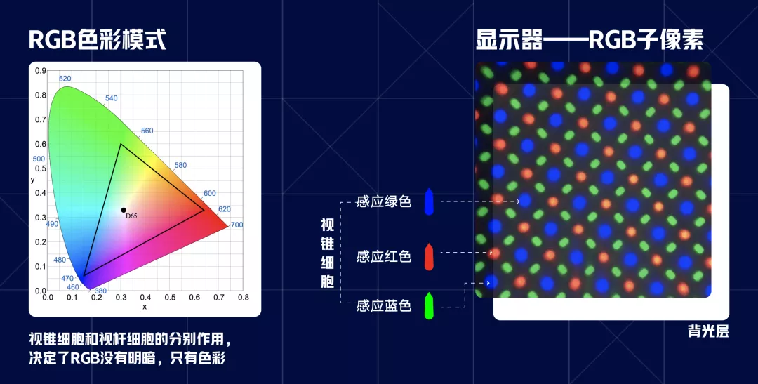 vivo｜适老化——人眼的光与色 - 图16