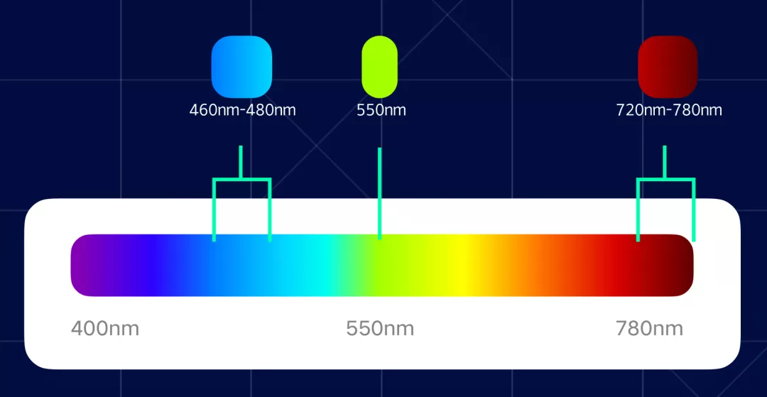 vivo｜适老化——人眼的光与色 - 图23