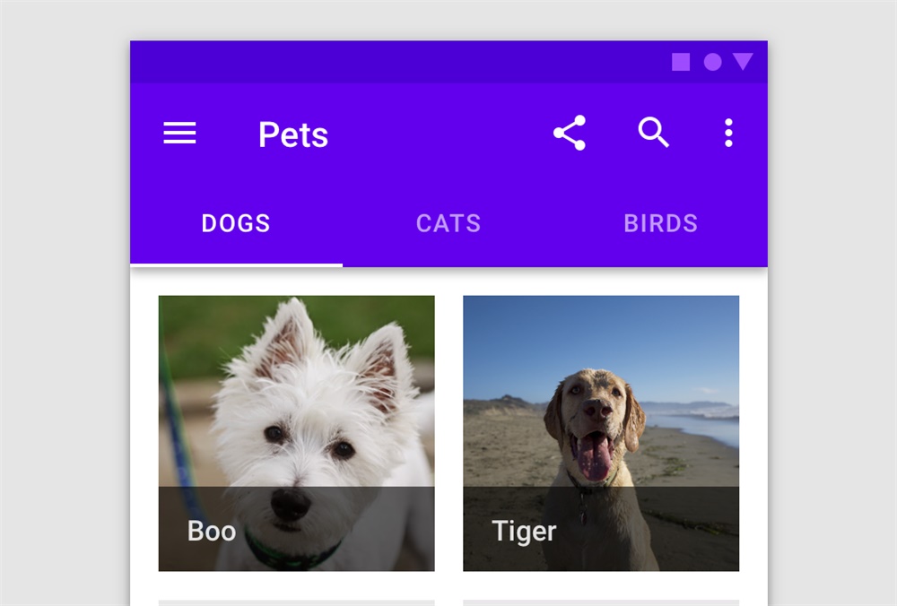image.jpeg