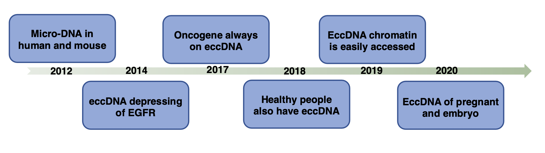 eccDNA的生物信息学研究概览 - 图2