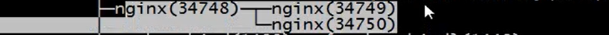 Web服务器Nginx搭建与配置(new) - 图17