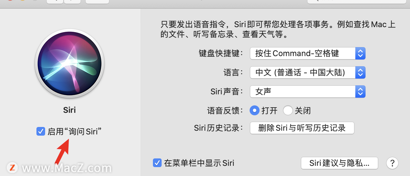 如何在Mac上更改Siri的声音？ - 图4