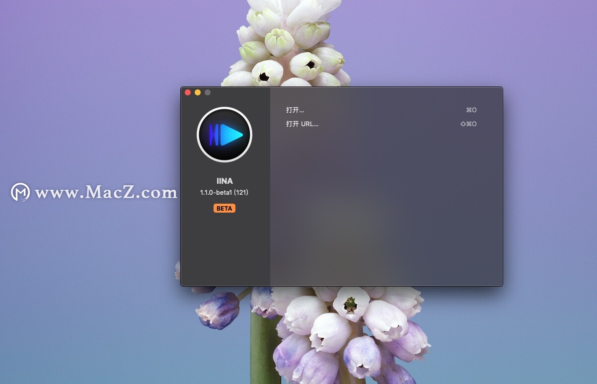 IINA 播放器下载 IINA Mac中文破解版 - 图1