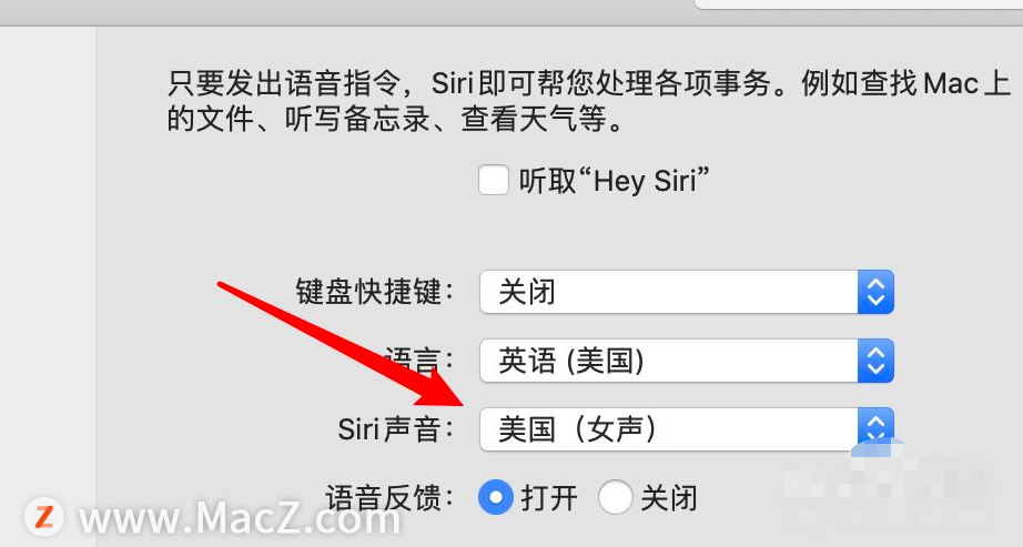 如何在Mac上更改Siri的声音？ - 图6