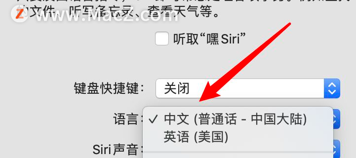 如何在Mac上更改Siri的声音？ - 图8