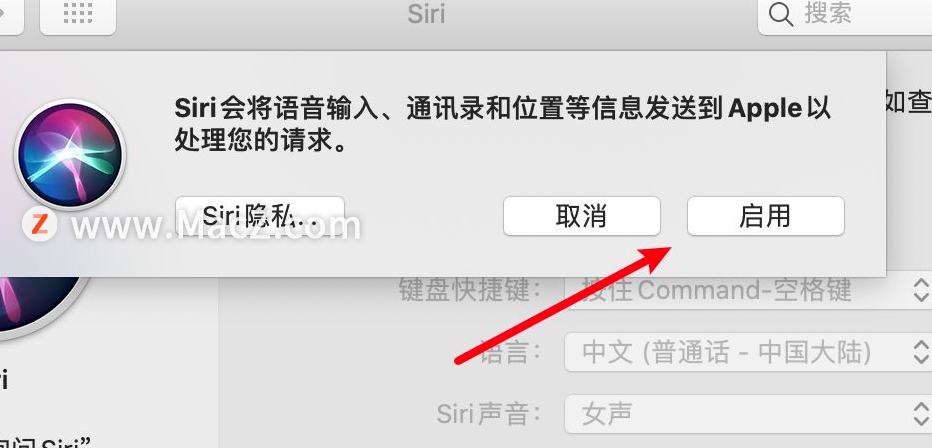 如何在Mac上更改Siri的声音？ - 图5