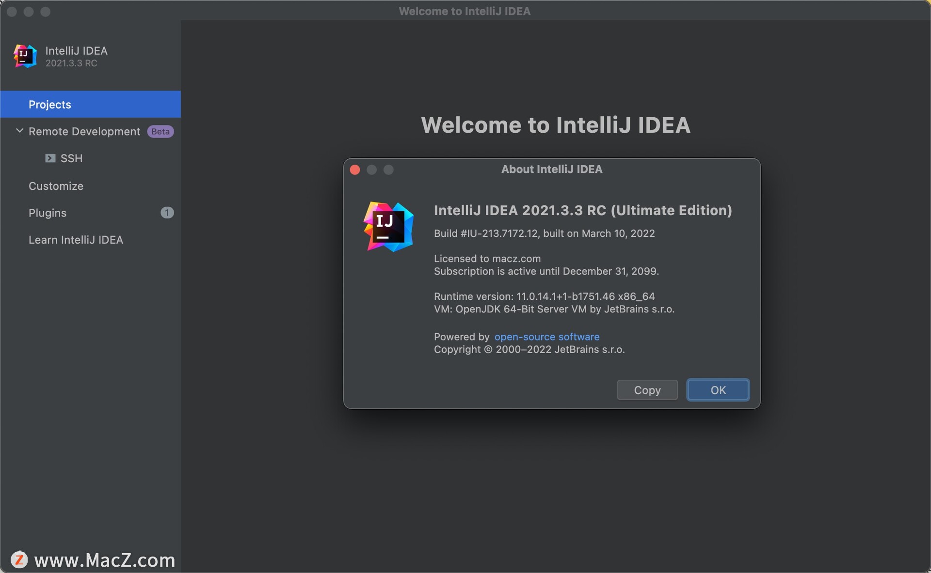 最好用的Java开发工具：IntelliJ IDEA 2021 Mac汉化版 - 图1