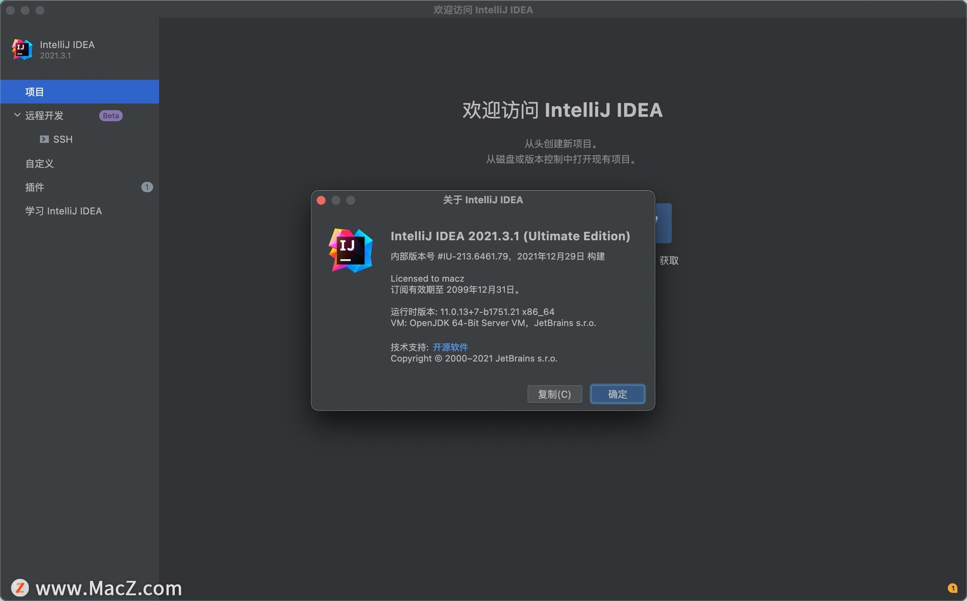 IntelliJ IDEA 2021 for Mac(最好用的Java开发工具)v2021.3.1汉化激活版 - 图1