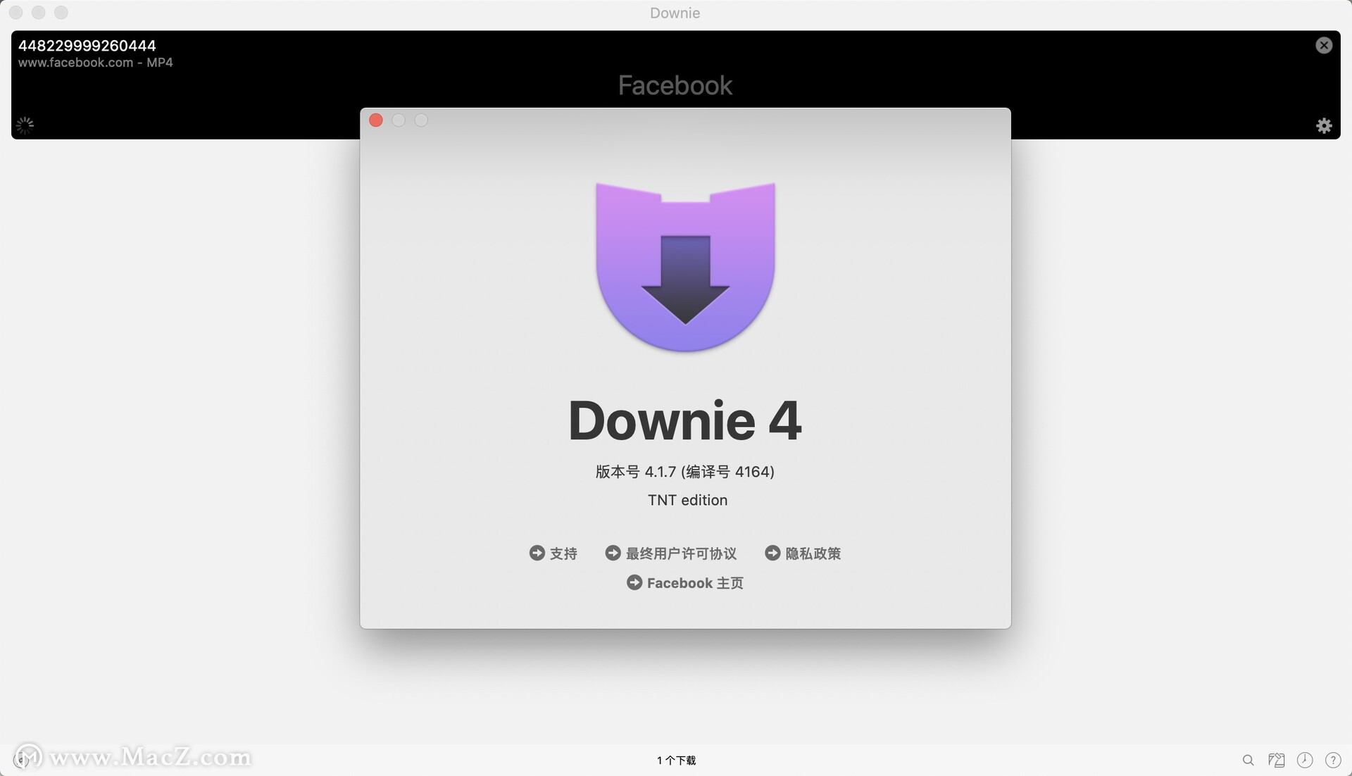 最好用的视频下载软件 Downie 4 for Mac中文破解版 - 图1