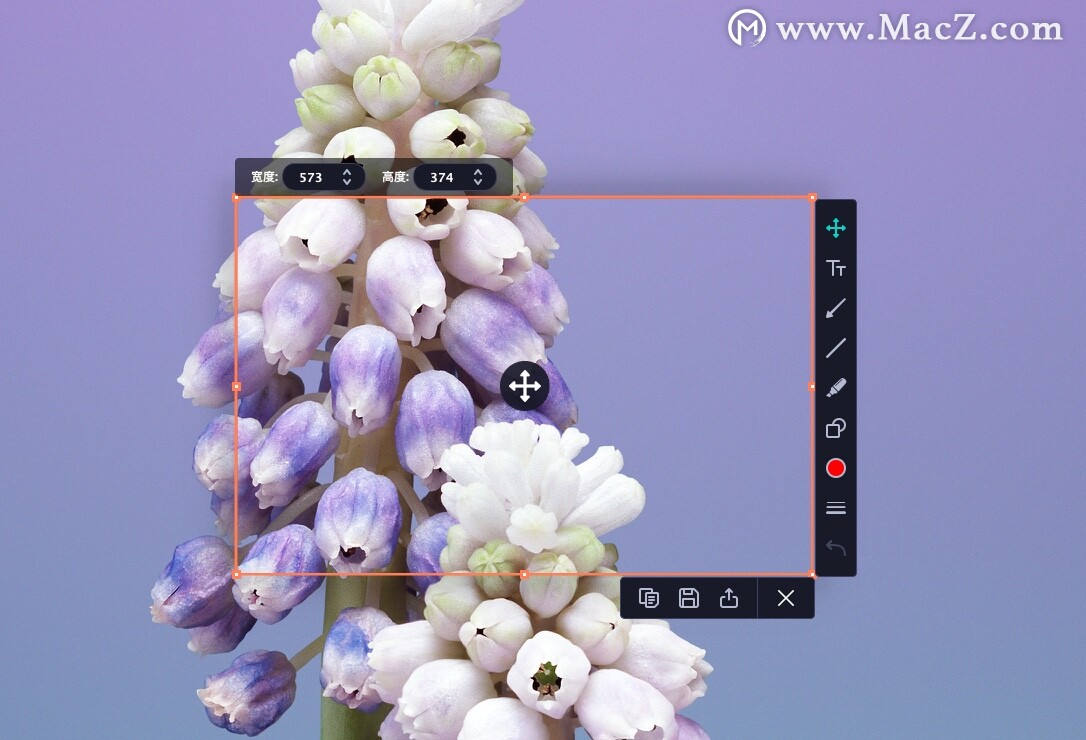 Movavi Screen Recorder for mac(屏幕录像编辑软件)v21.3.0激活版 - 图1