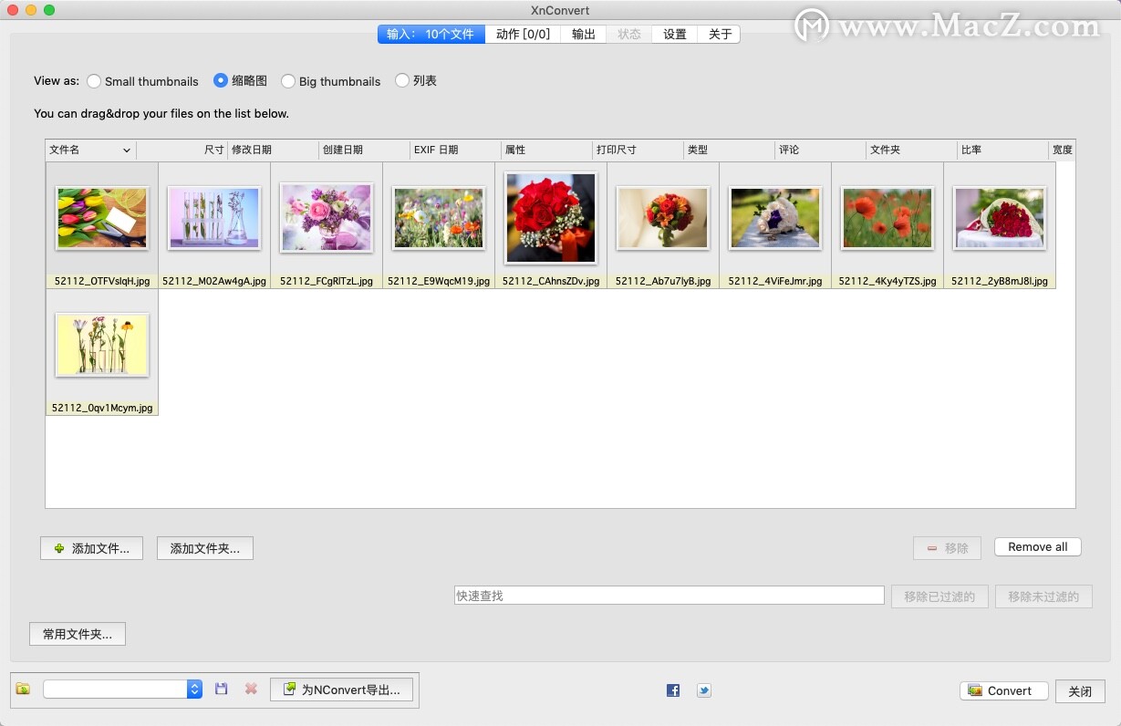 XnConvert for Mac(批量图像格式转换软件)v1.92免费版 - 图2