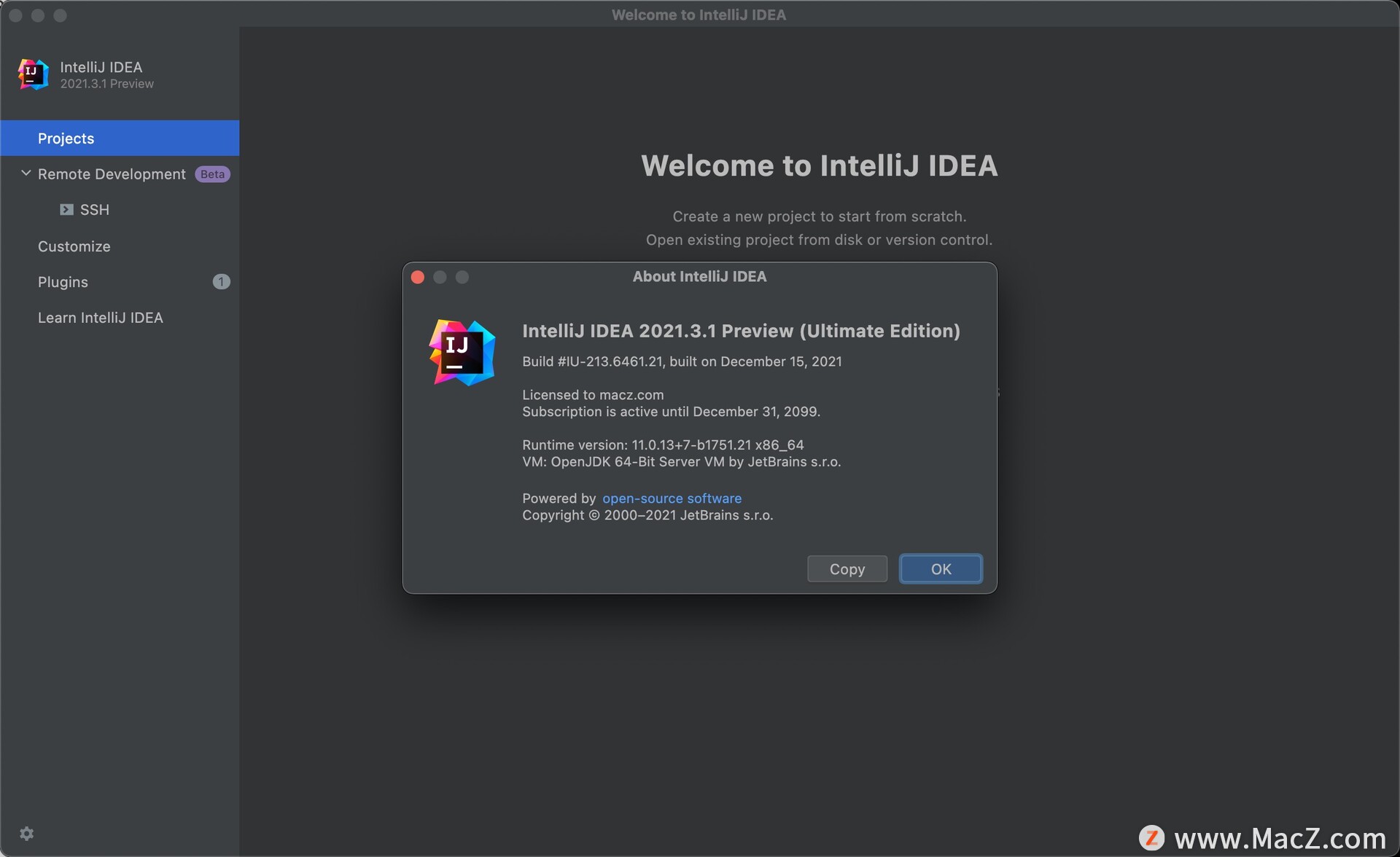 IntelliJ IDEA 2021 for Mac(最好用的Java开发工具)v2021.3.1汉化激活版 - 图1