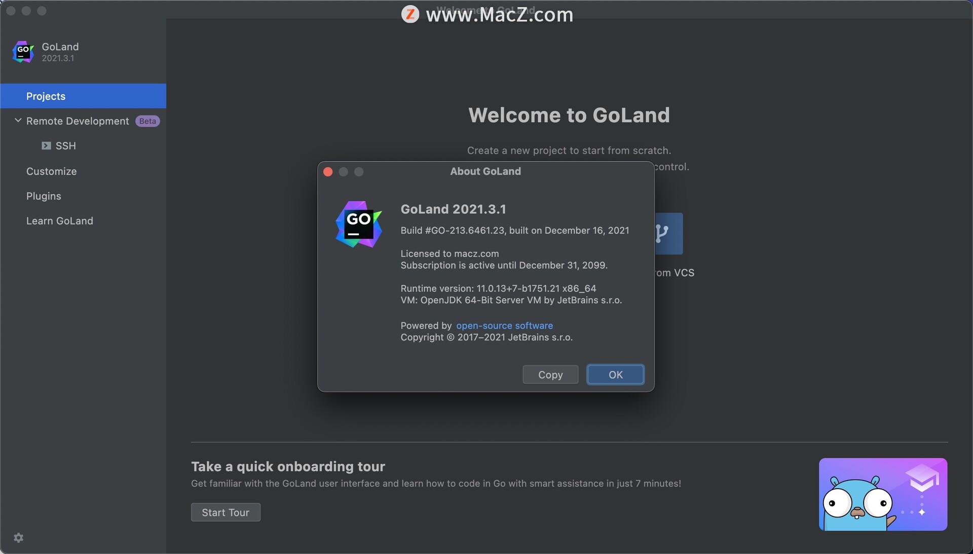 JetBrains GoLand 2021 for Mac(GO语言集成开发工具环境) v2021.3.1中文激活版 - 图1