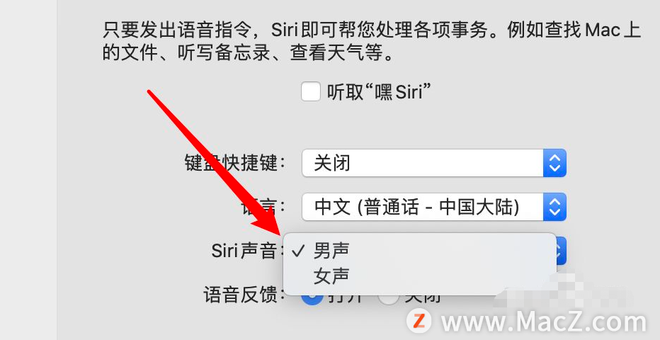 如何在Mac上更改Siri的声音？ - 图9