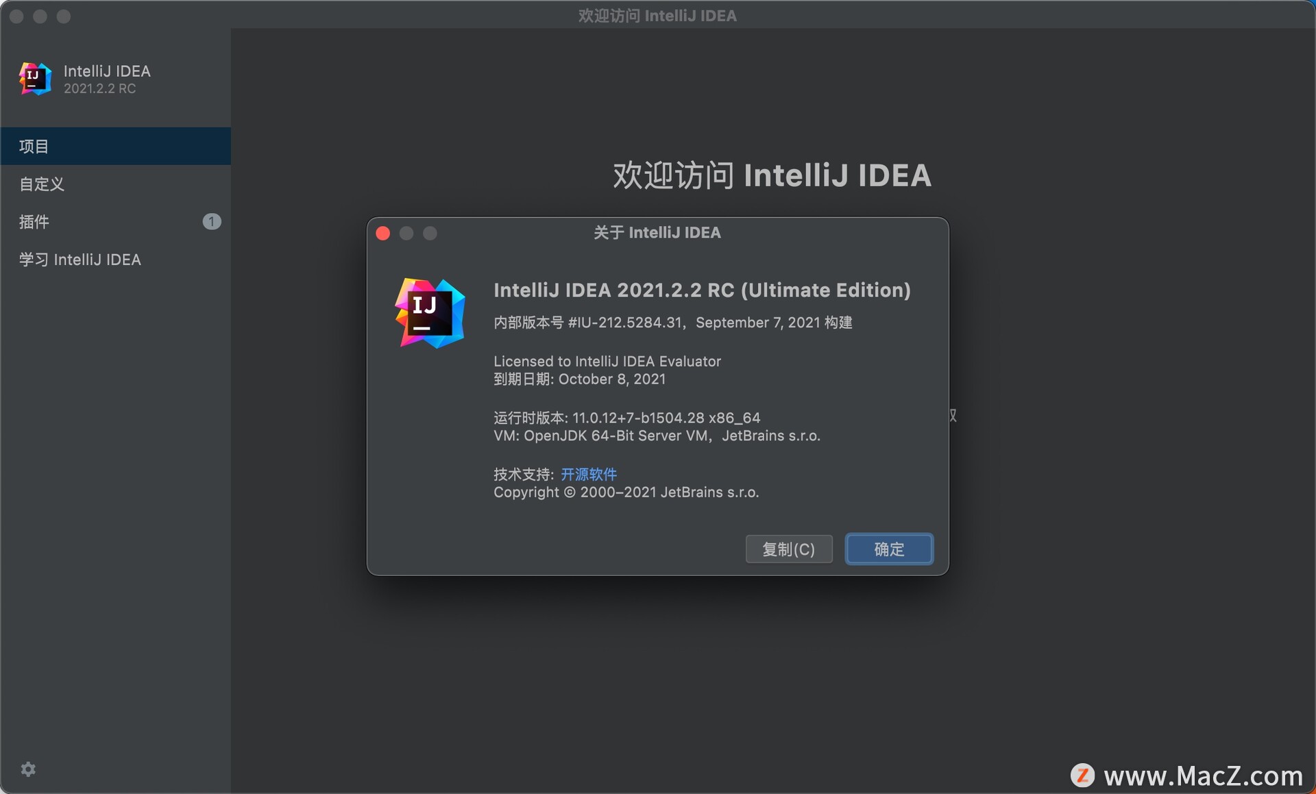 JetBrains IntelliJ IDEA 2021 for Mac(Java平台IDE)v2021.2.2RC无限试用版 - 图1