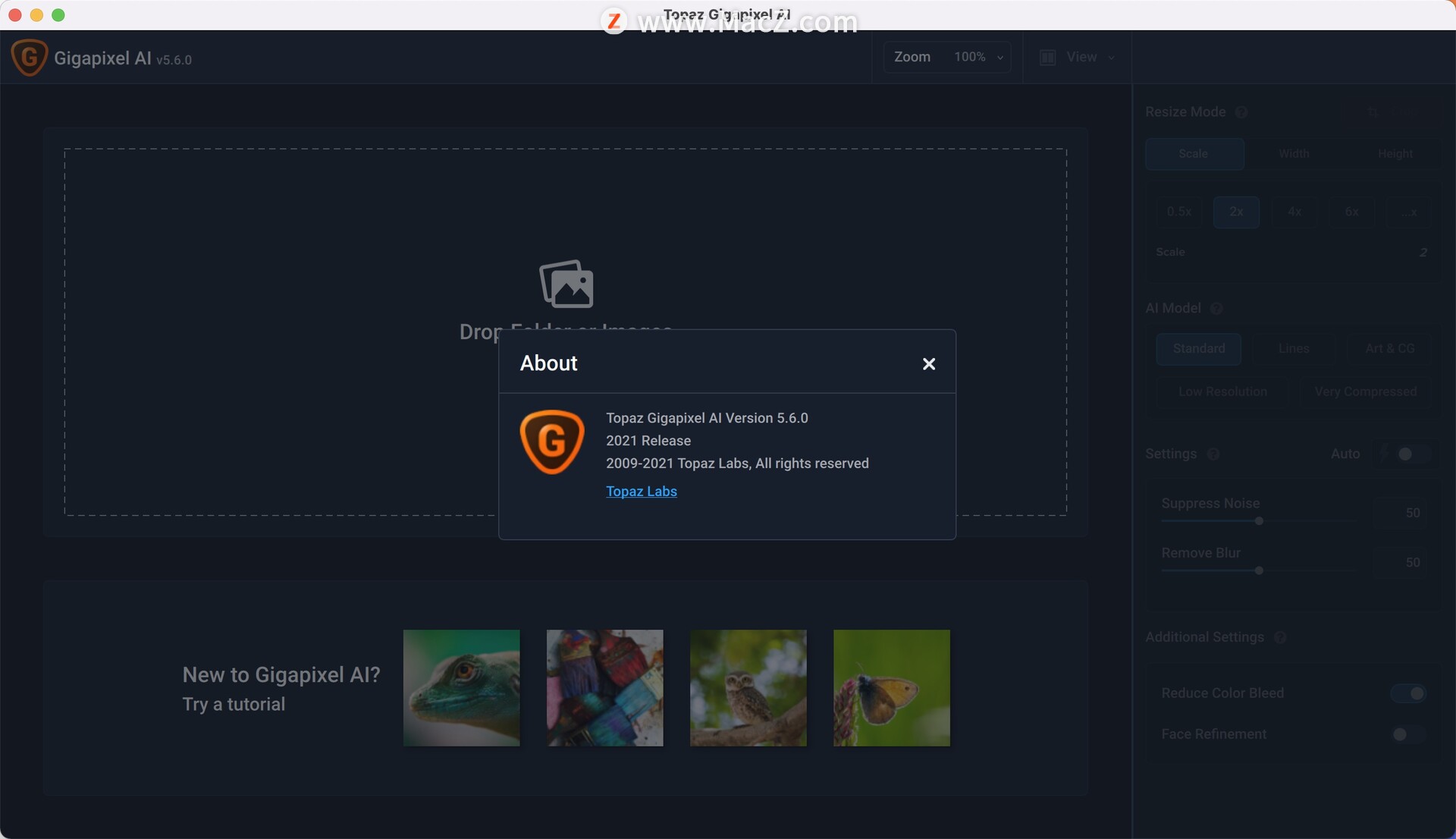 Topaz Gigapixel AI for Mac(照片放大工具)5.6.0 - 图1