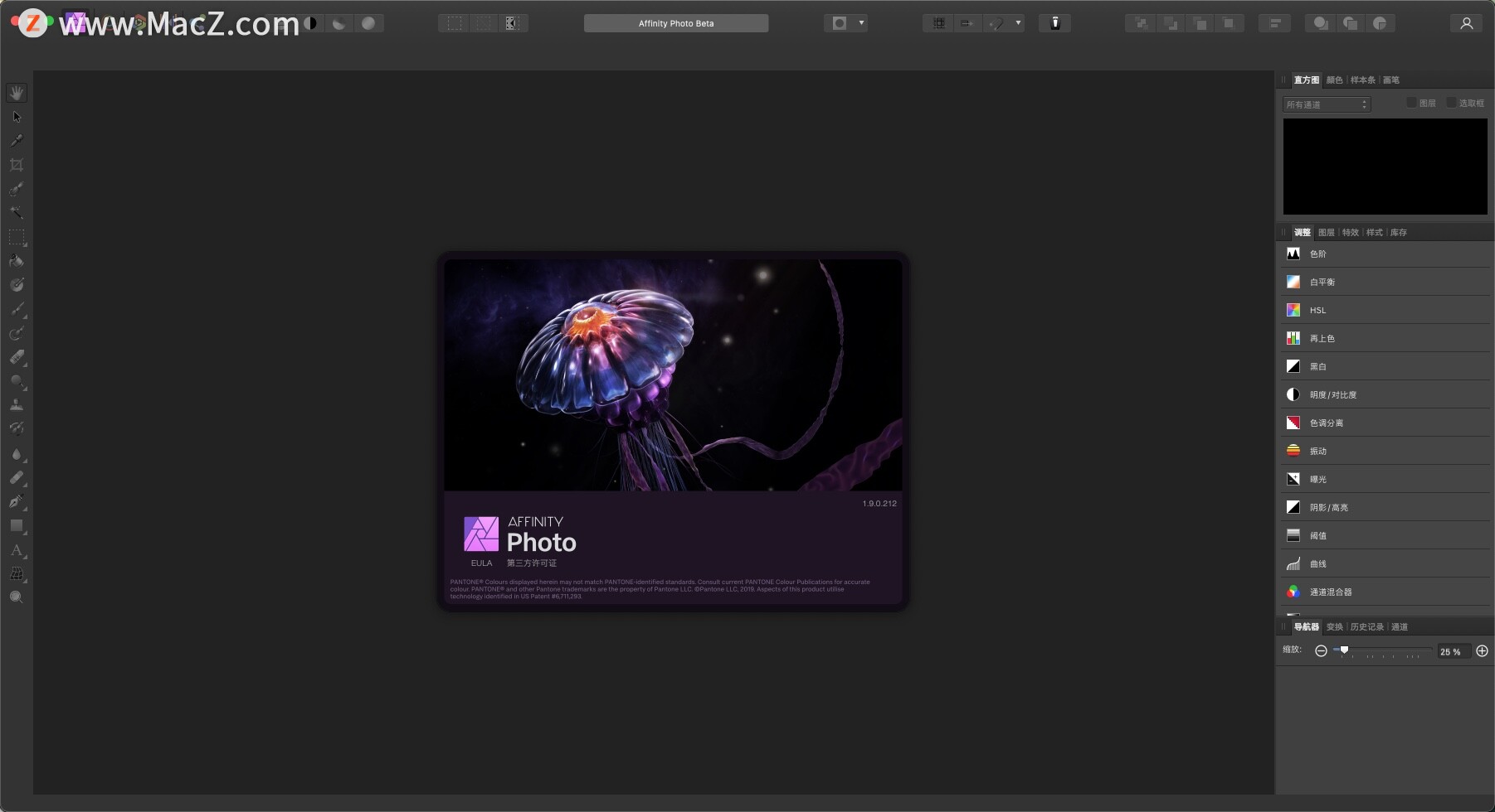 Affinity Photo for Mac(媲美PS的专业级修图软件)v1.9.0.212中文免激活版 - 图1