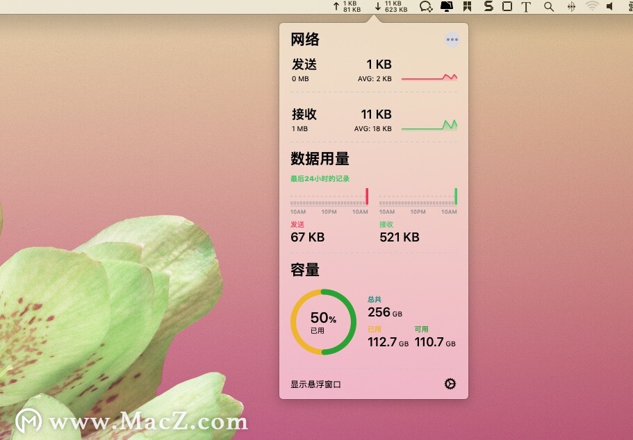 Network & Battery for mac(系统监控工具)v12.2.3中文版 - 图2