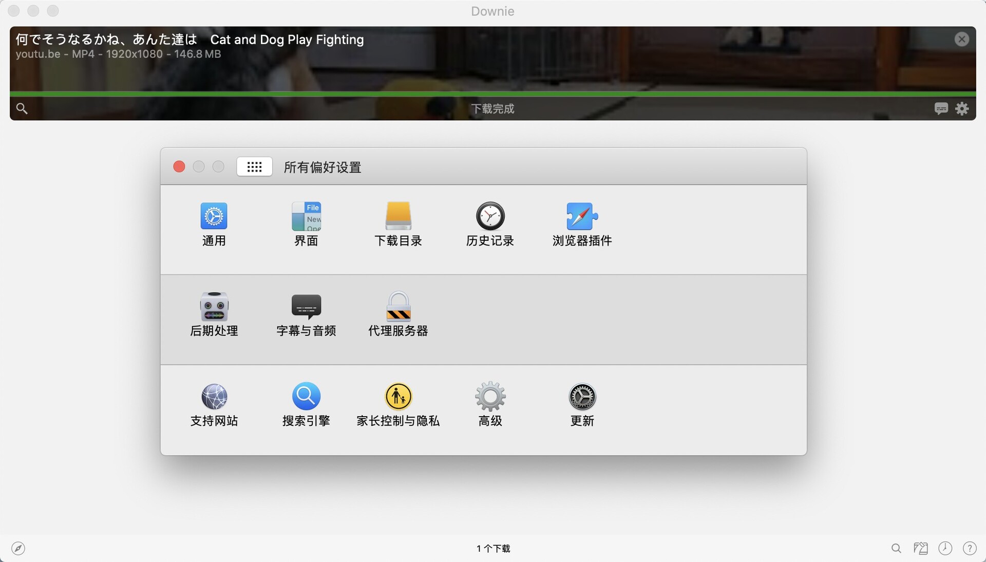 最好用的视频下载软件 Downie 4 for Mac v4.3.1直装版 - 图2