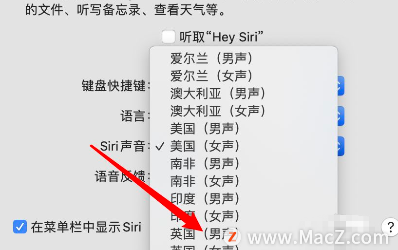 如何在Mac上更改Siri的声音？ - 图7