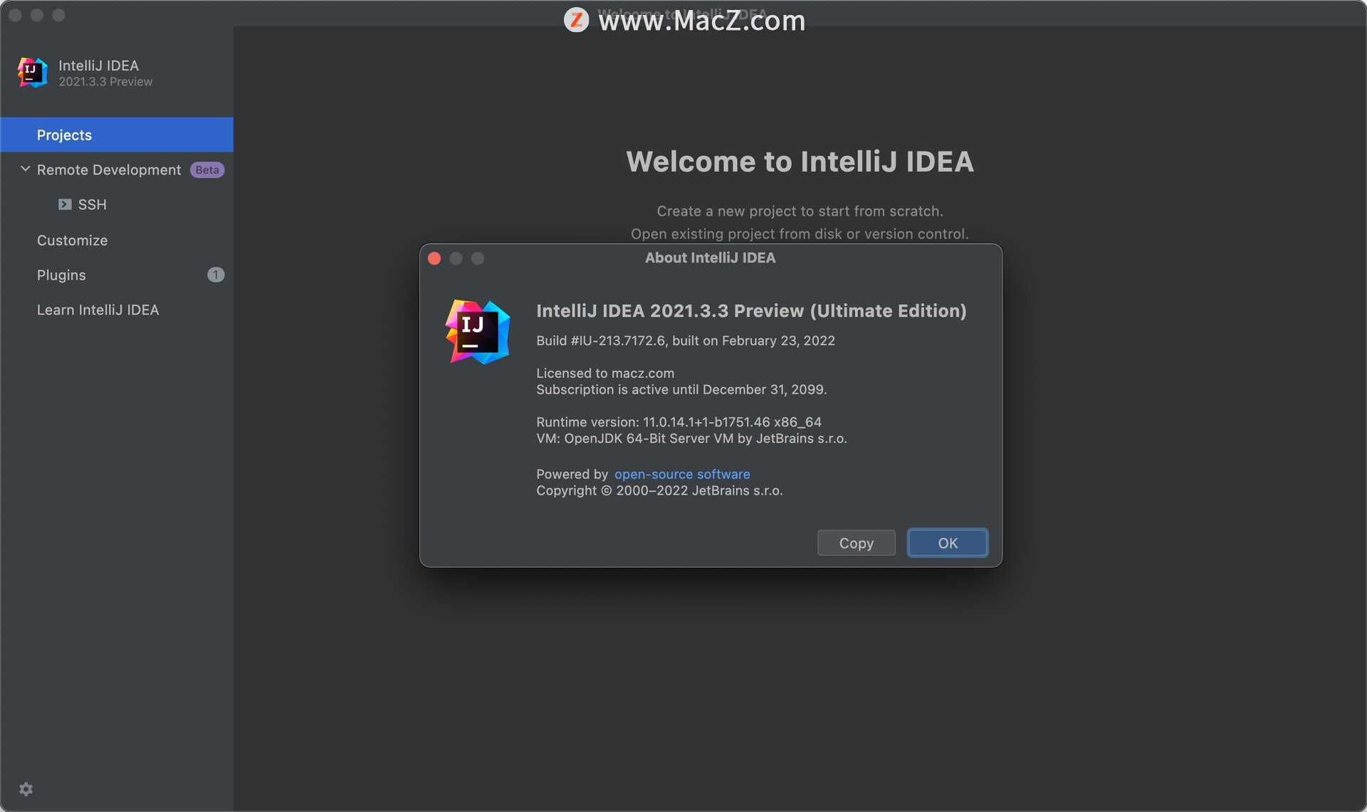 最好用的Java开发工具：IntelliJ IDEA 2021 Mac破解版 - 图1