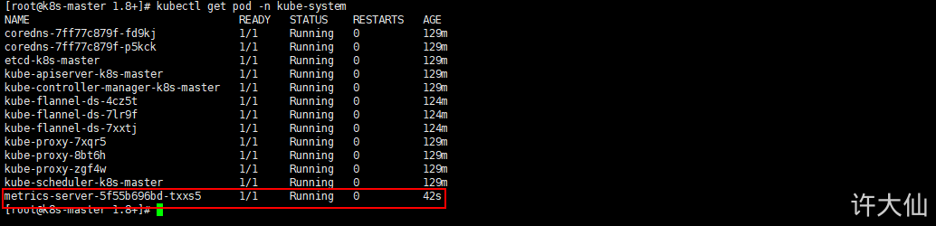 查看metrics-server生成的Pod.png