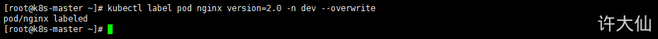 为Nginx的Pod更新标签.png