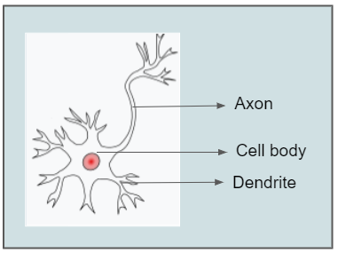 6 Types of Neural Networks Every Data Scientist Must Know - 图1