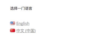 用Polylang插件建设一个多语言站点 - 图7