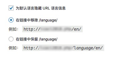 用Polylang插件建设一个多语言站点 - 图19