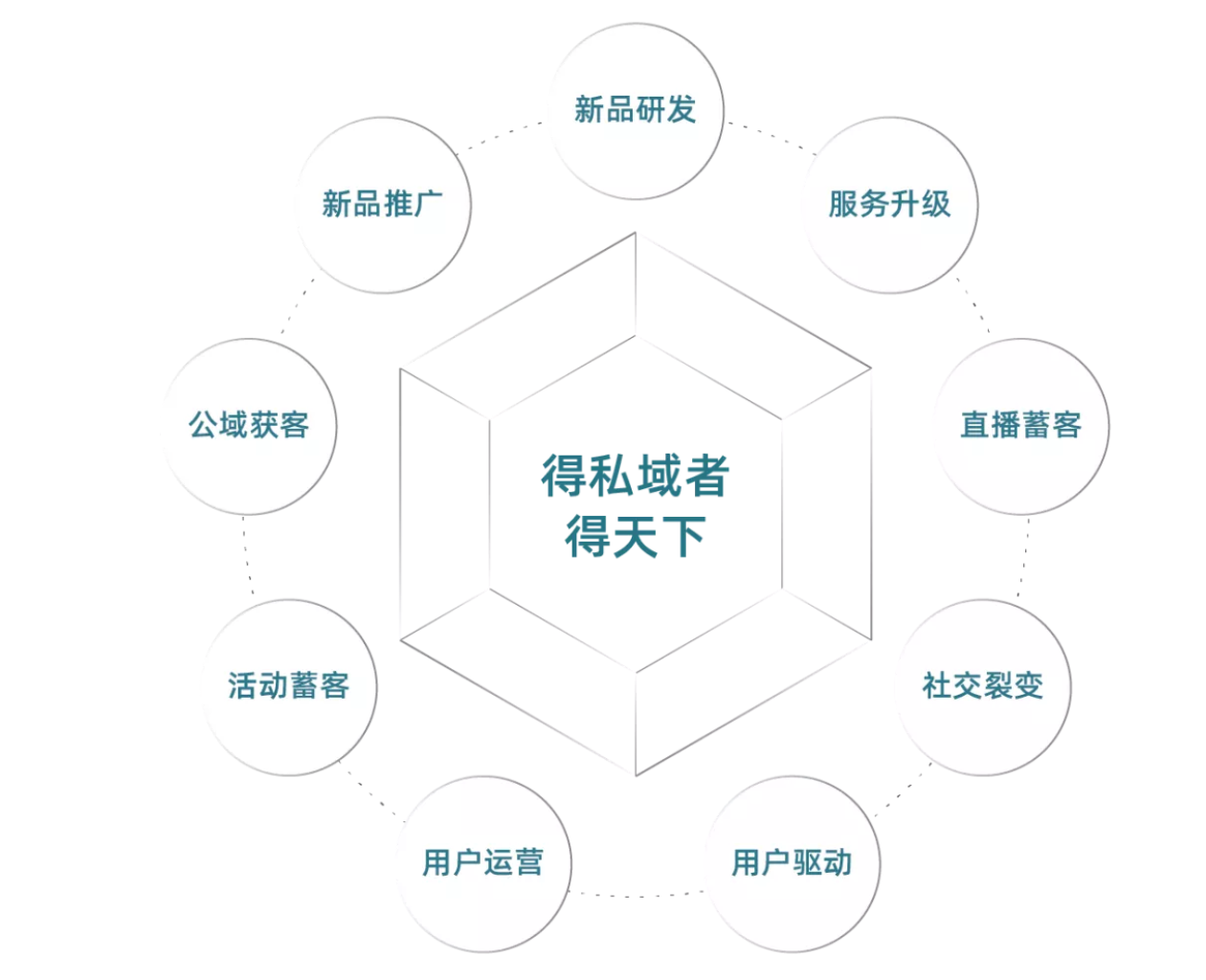 数字用户品类运营 - 图1