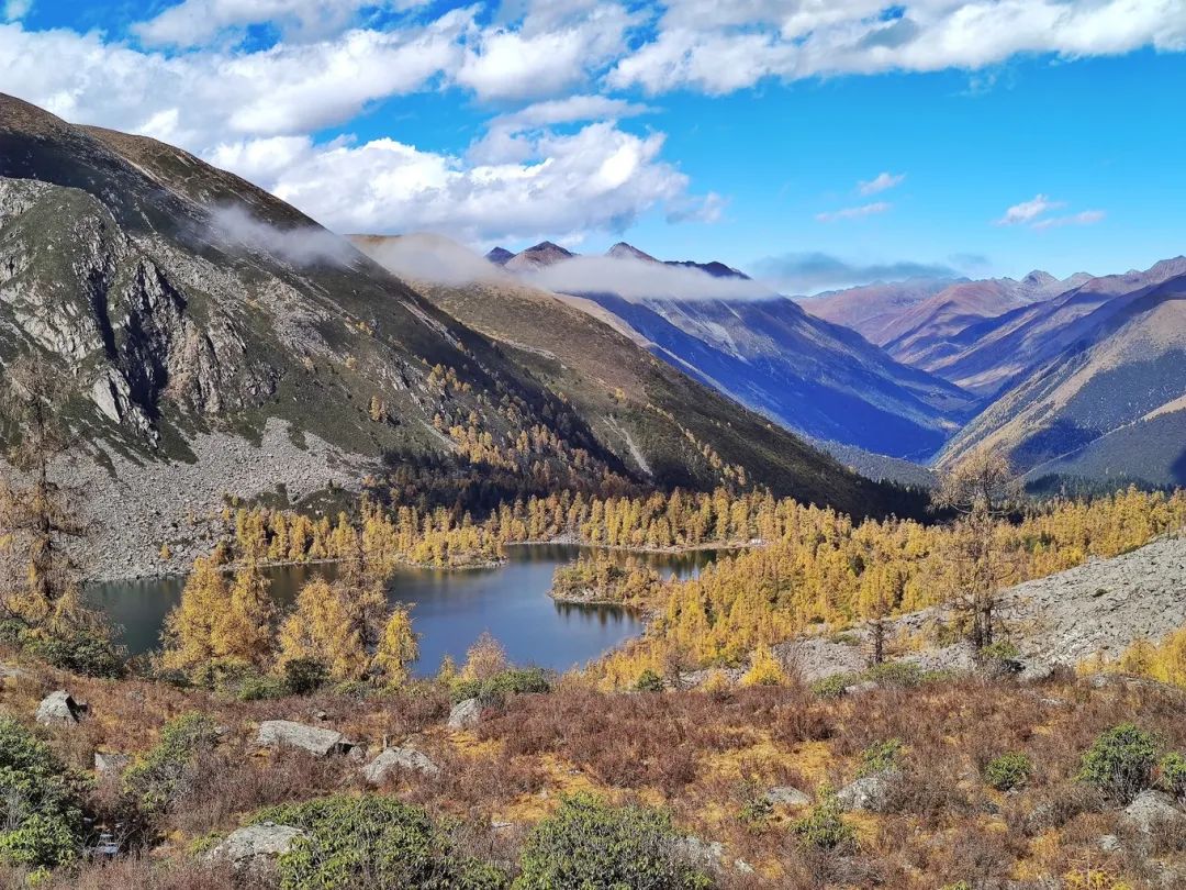 *攀登美女神山夏羌拉，它是川西最美最小众的5000米级雪山 - 图50