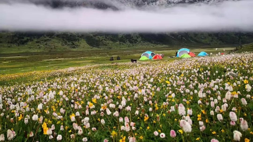 格聂大环: 王者归来, 送你夏天最好的礼物！ - 图13