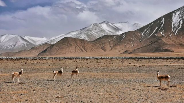 4月22日-29日｜2022首期玉珠峰，和修路向导一起攀登 - 图23