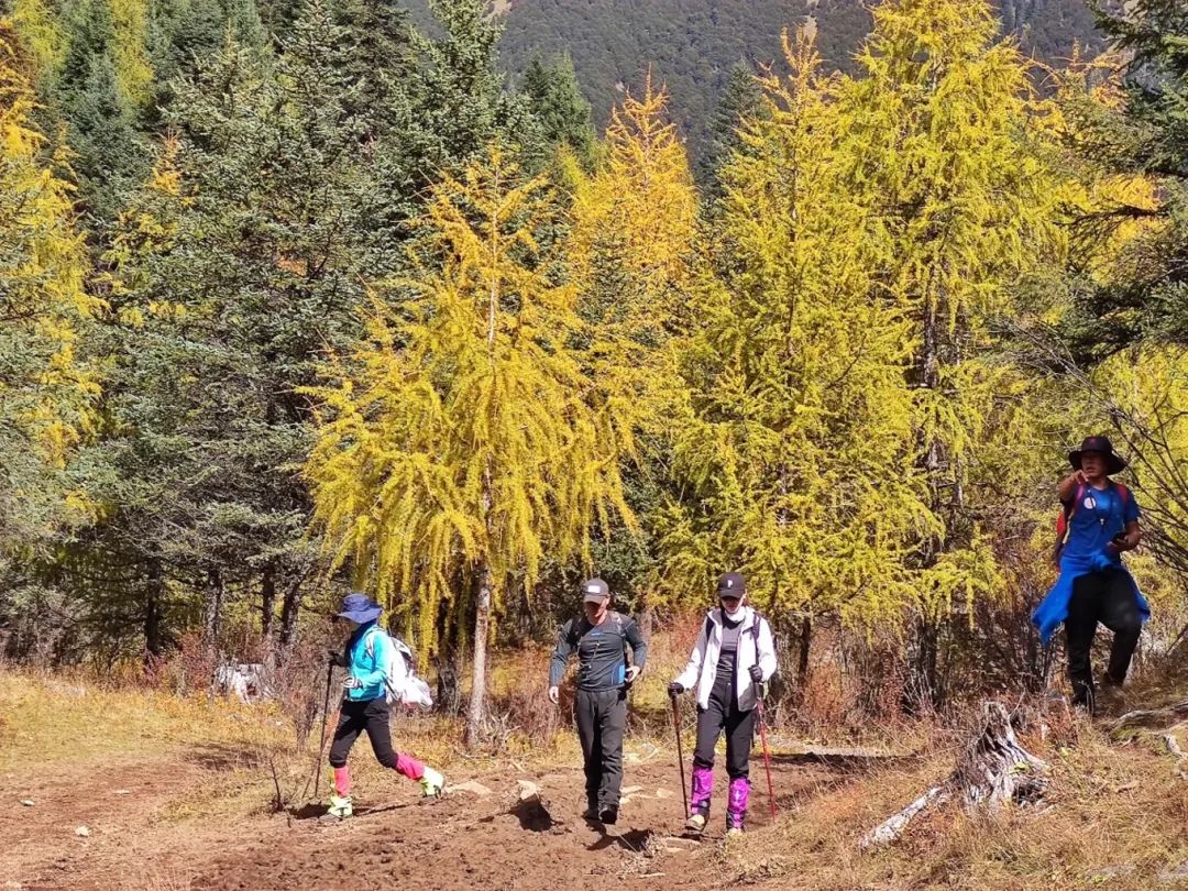 *攀登美女神山夏羌拉，它是川西最美最小众的5000米级雪山 - 图19