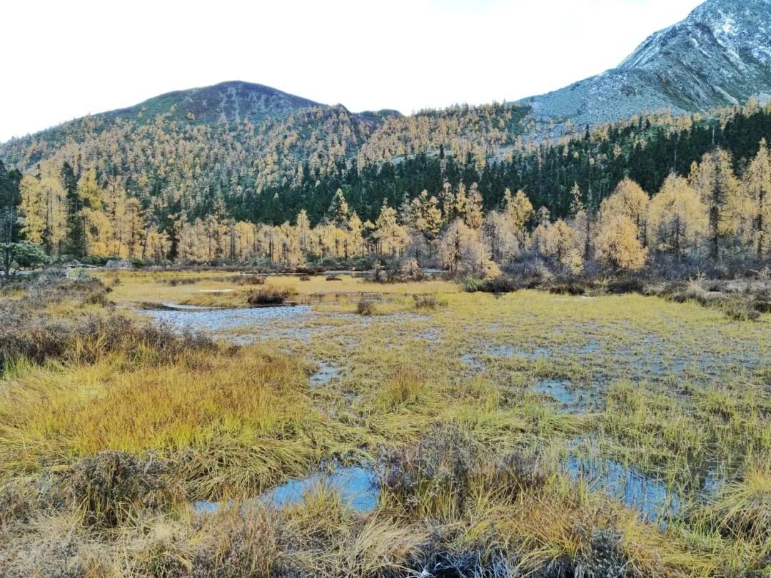 *攀登美女神山夏羌拉，它是川西最美最小众的5000米级雪山 - 图34