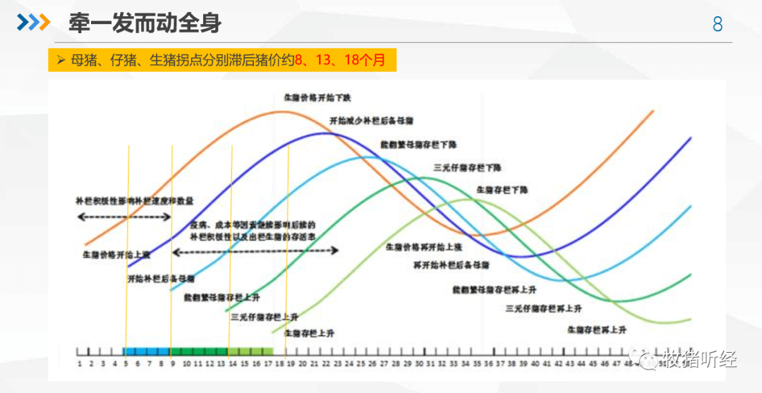 2022年下半年猪市分析 - 图7