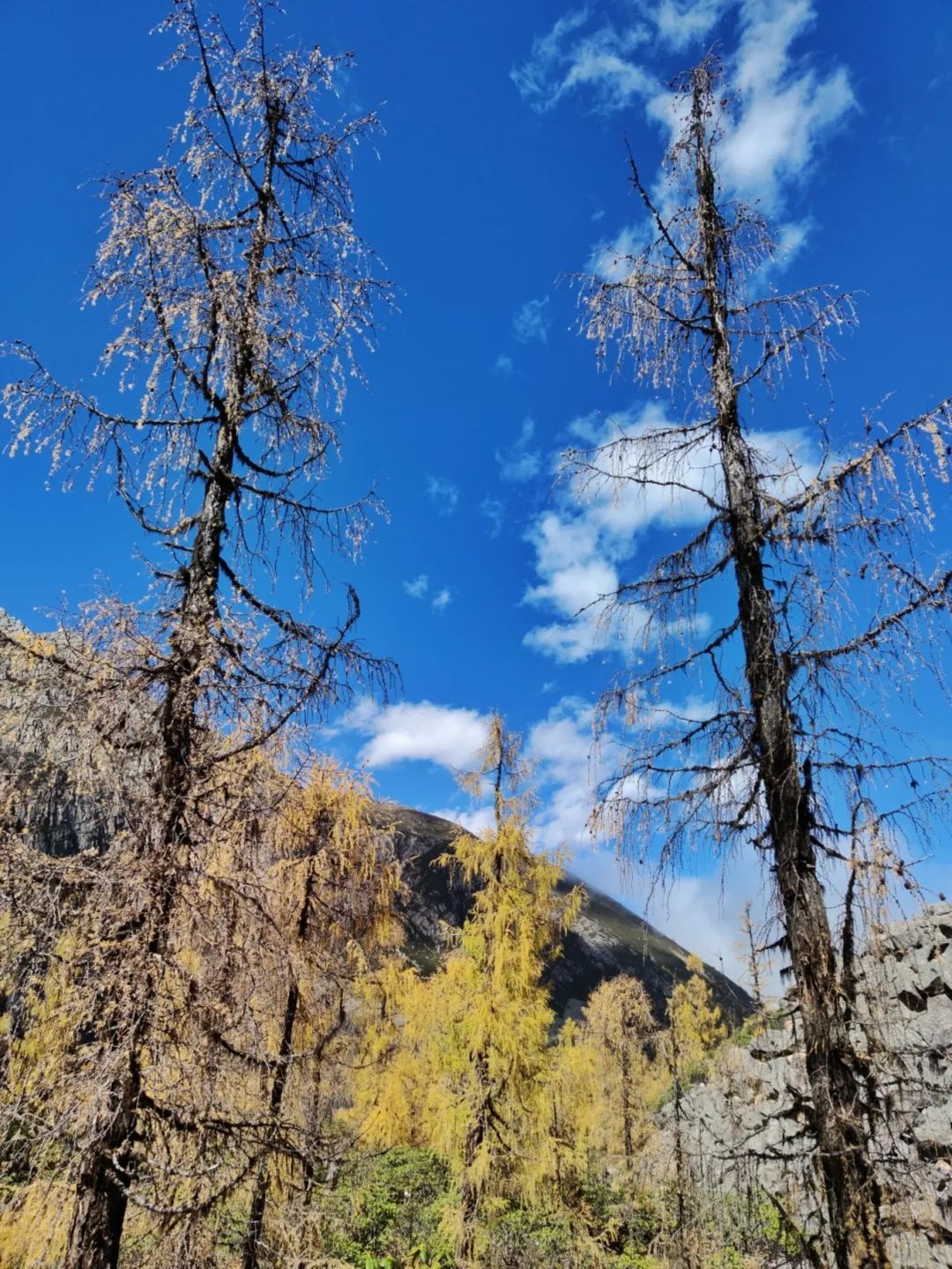 *攀登美女神山夏羌拉，它是川西最美最小众的5000米级雪山 - 图47