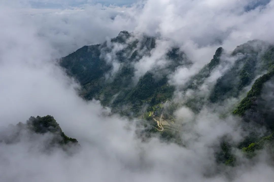 旅行 | 重庆，含仙量爆炸！ - 图24