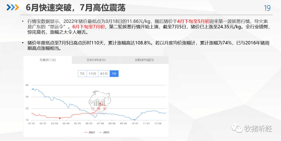 2022年下半年猪市分析 - 图17